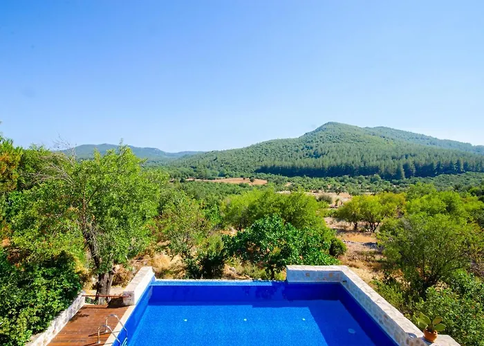 Villa Stone Clad La Maison P